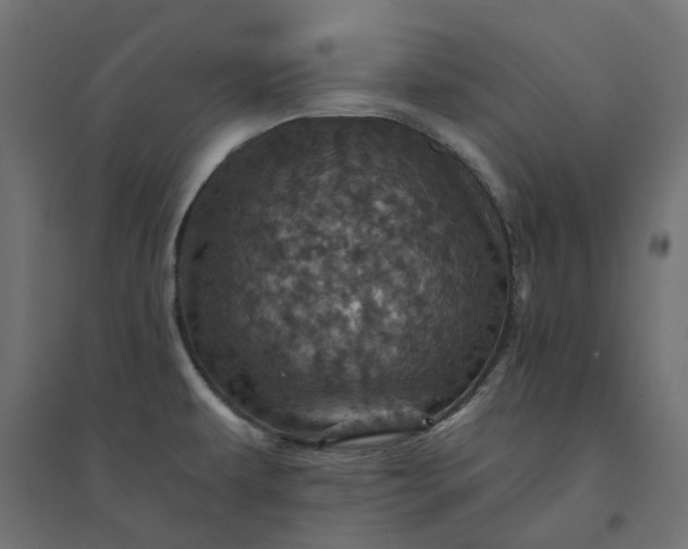 X0000094441479200711211445