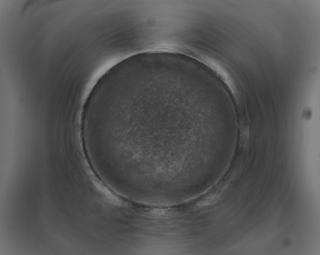 X0000094441480200711211445