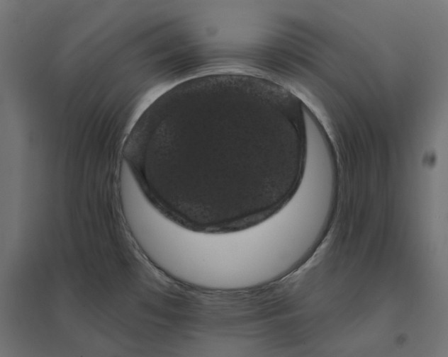 X0000094441481200711211445