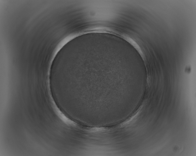 X0000094441482200711211445