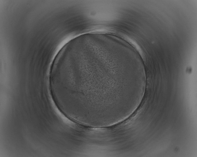 X0000094441483200711211445