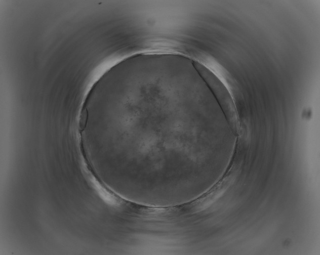 X0000094441485200711211445