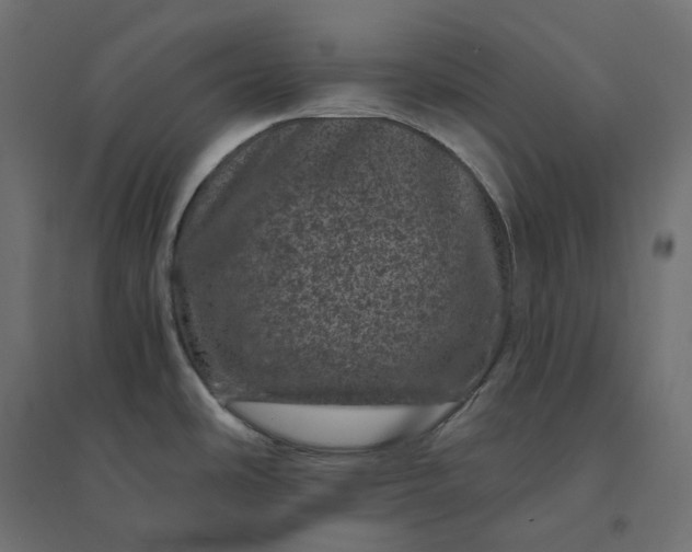 X0000094441486200711211445