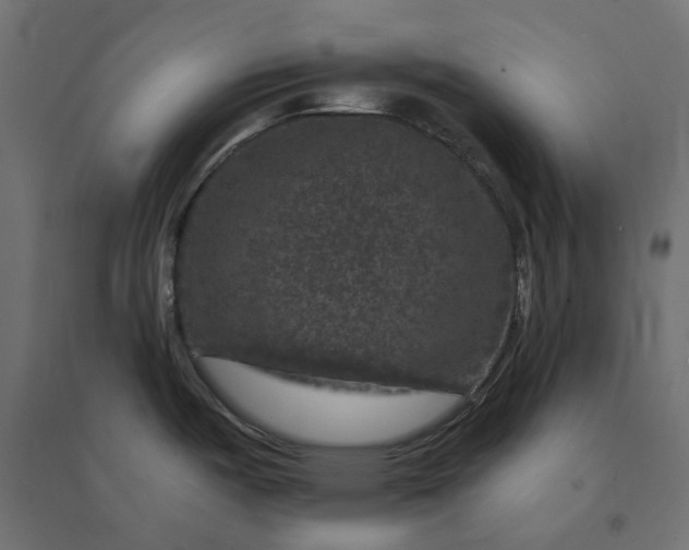X0000094441487200711211445