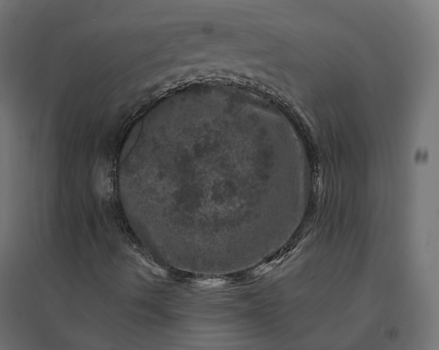 X0000094441490200711211444