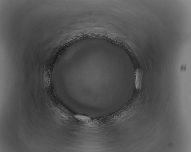 X0000094441491200711211444