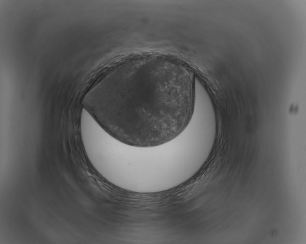 X0000094441492200711211444