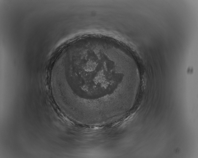 X0000094441494200711211444