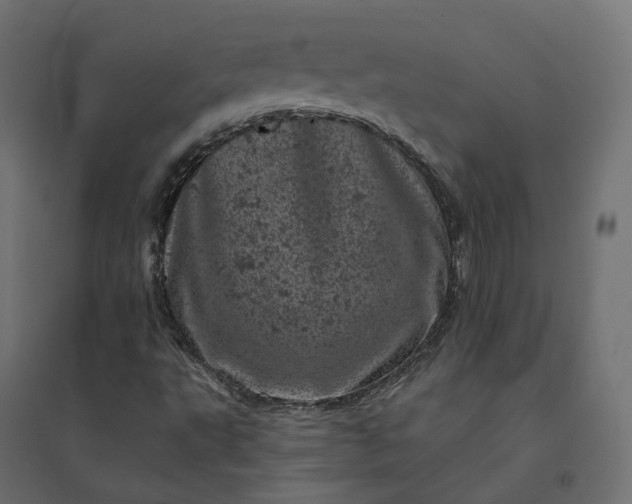 X0000094441495200711211444