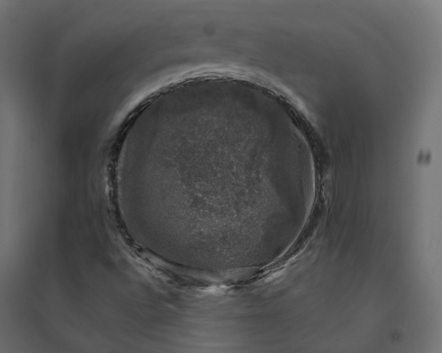 X0000094441496200711211444