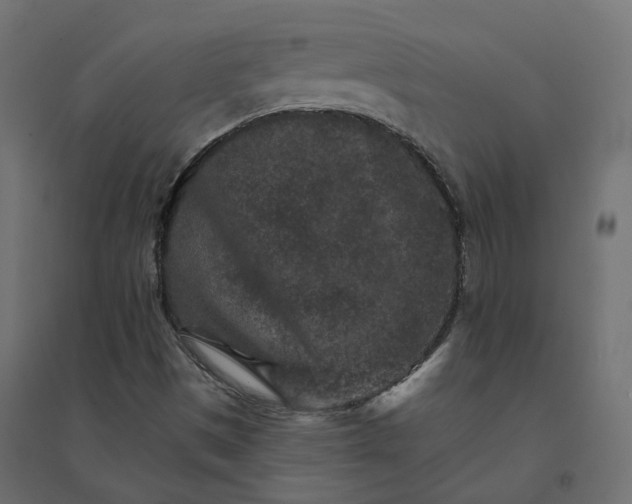 X0000094441497200711211444