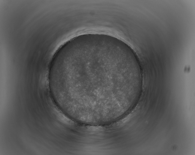 X0000094441498200711211444