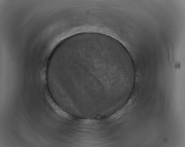 X0000094441499200711211444