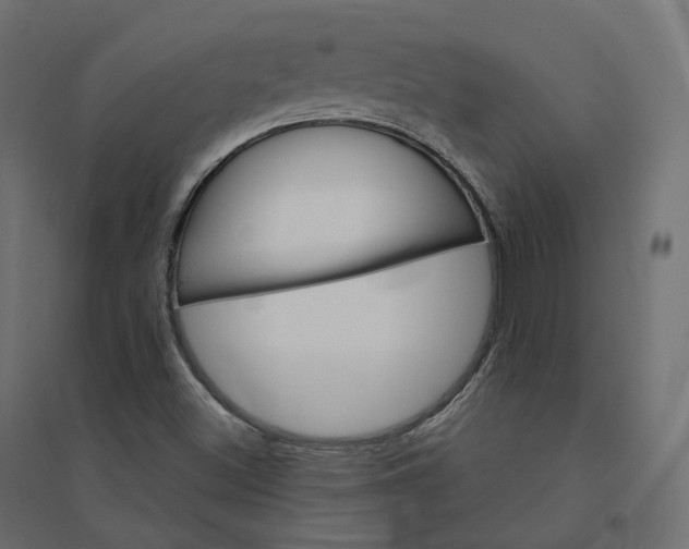 X0000094441500200711211444