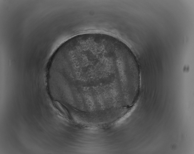 X0000094441501200711211444