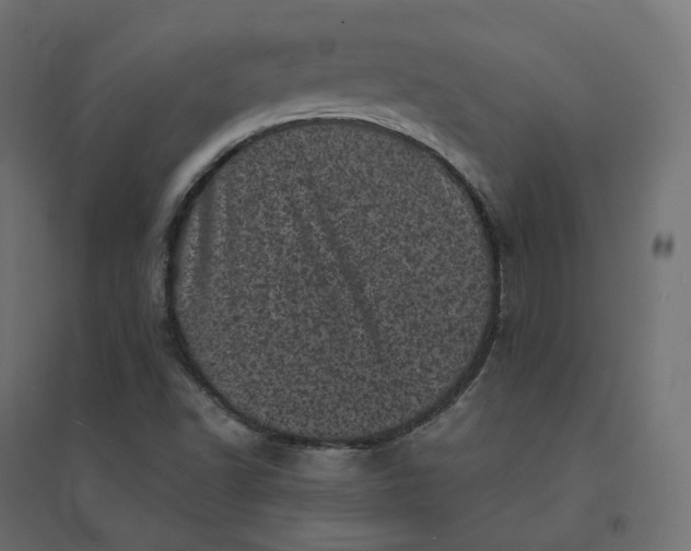 X0000094441502200711211444