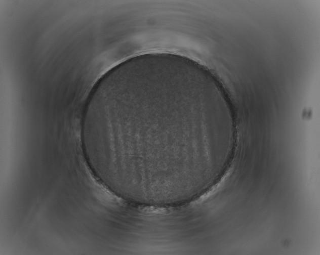 X0000094441505200711211444