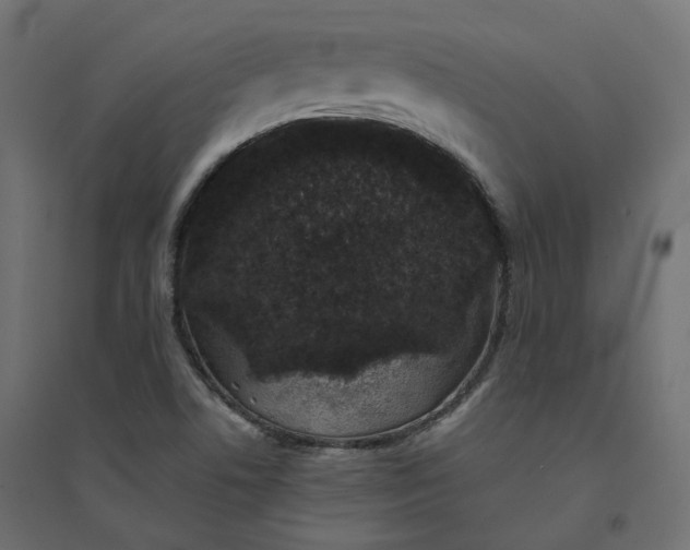 X0000094441506200711211444