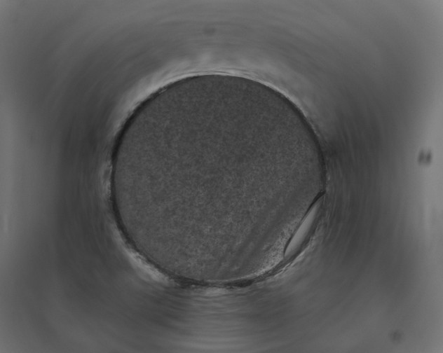 X0000094441507200711211444