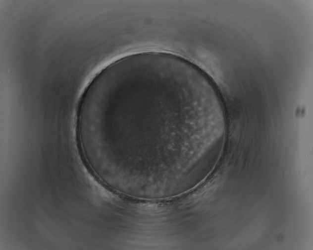 X0000094441508200711211444