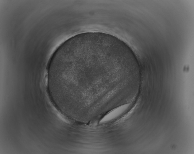 X0000094441509200711211444
