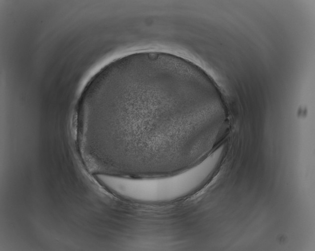 X0000094441510200711211444