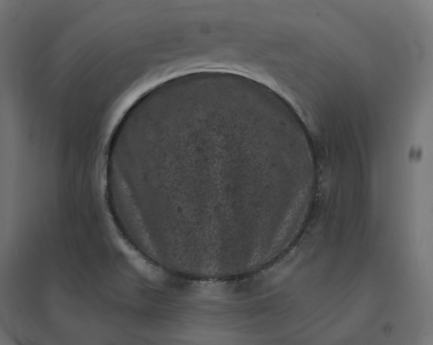 X0000094441511200711211444