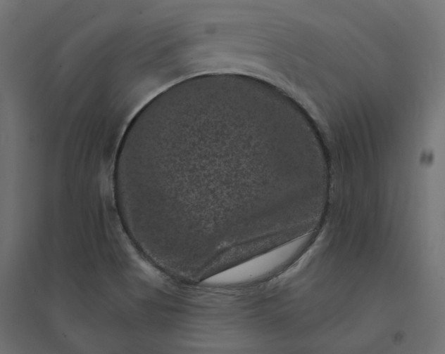 X0000094441513200711211444