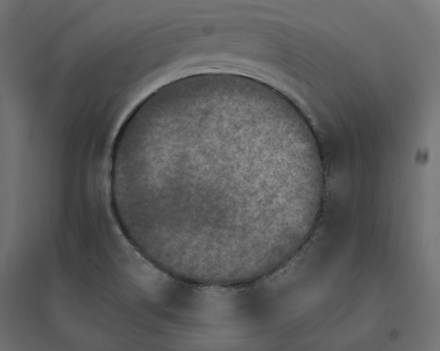 X0000094441514200711211444