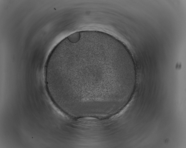 X0000094441517200711211445