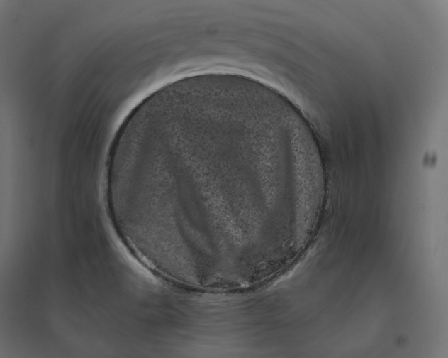 X0000094441518200711211445