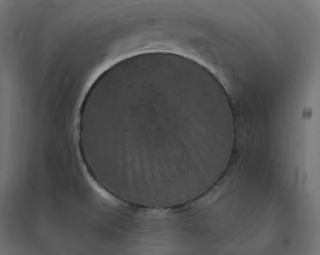 X0000094441519200711211445