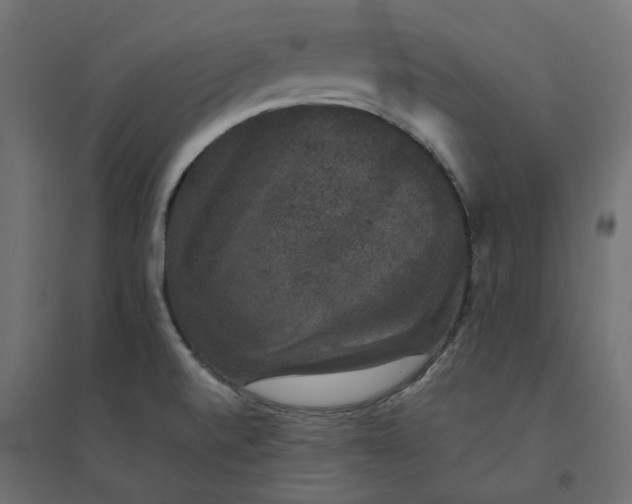 X0000094441520200711211445