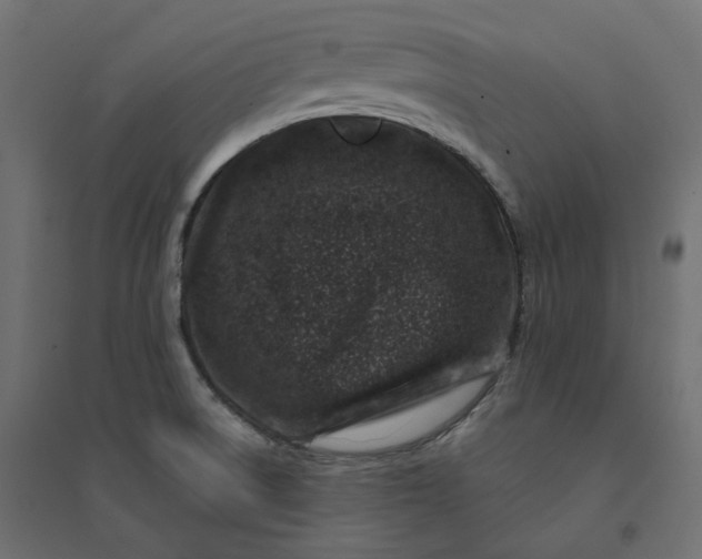 X0000094441522200711211445