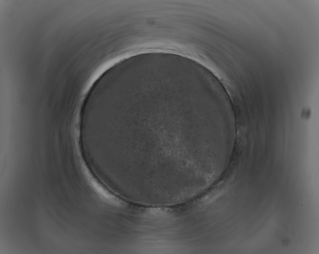 X0000094441523200711211445