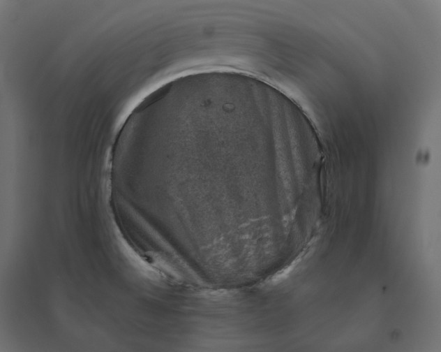 X0000094441524200711211445
