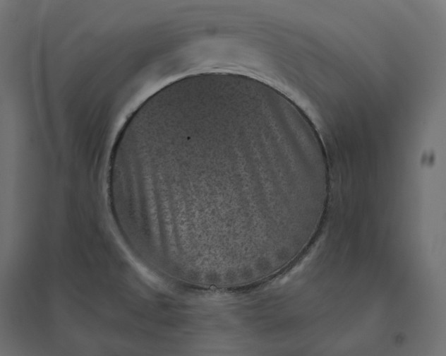 X0000094441525200711211445