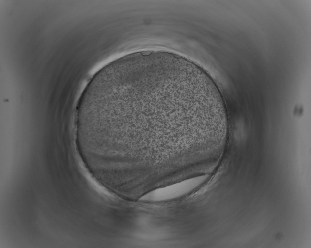 X0000094441526200711211445