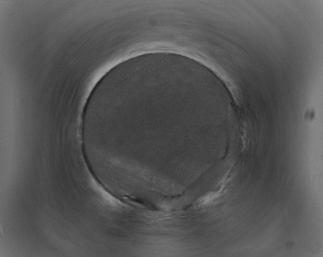 X0000094441527200711211445