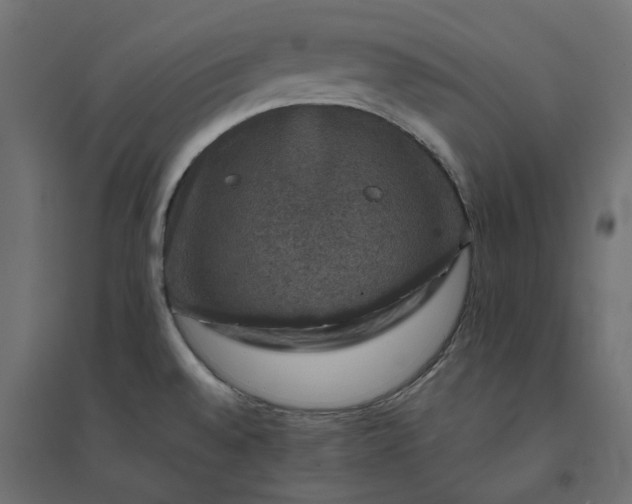 X0000094441528200711211445