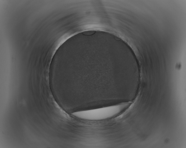 X0000094441529200711211445