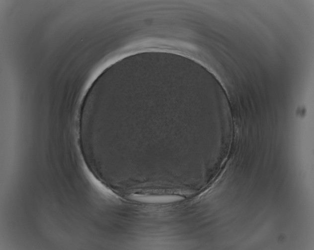 X0000094441531200711211445