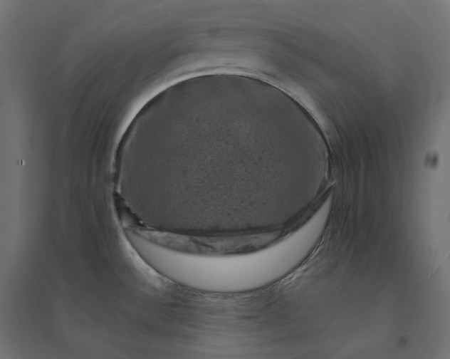 X0000094441532200711211445