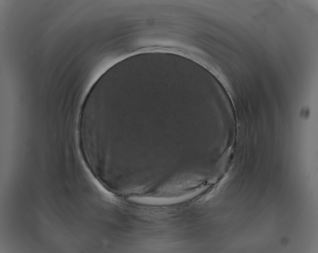 X0000094441533200711211445
