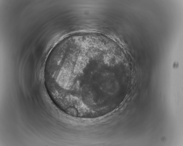 X0000094440002200711291647