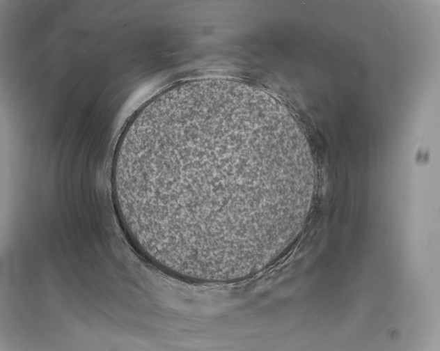 X0000094440004200711291647