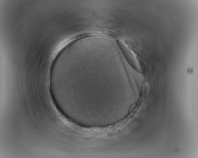 X0000094440005200711291647