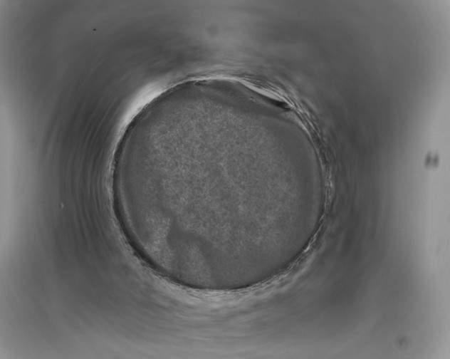 X0000094440006200711291647