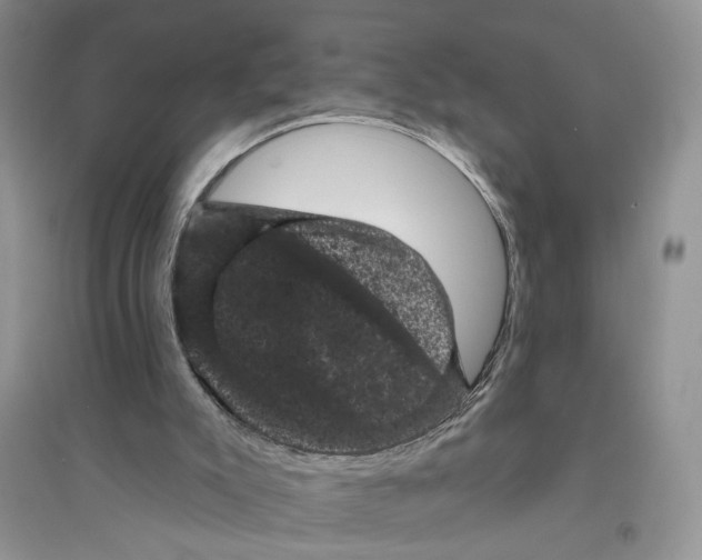 X0000094440007200711291647