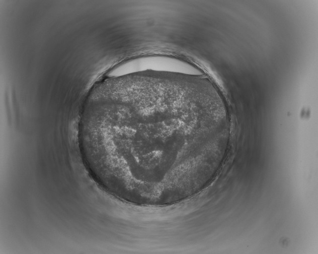 X0000094440010200711291647